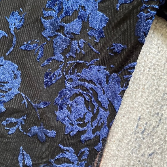 Sheer Velvet Rose Blouse - Picture 3 of 3